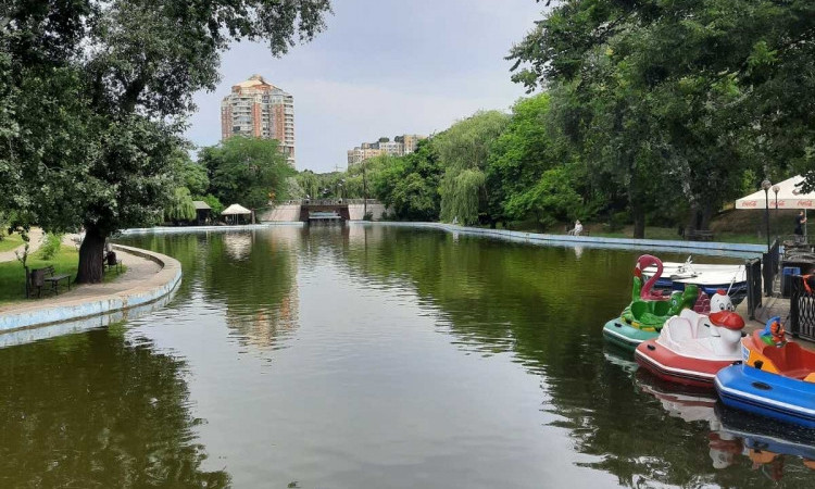 Водоросли на службе у людей: как в Одессе с их помощью собираются очищать пруд в парке Победы