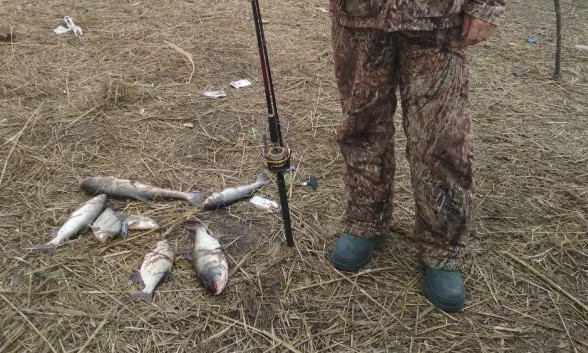 Рыбоохранный патруль продолжает бороться с браконьерами