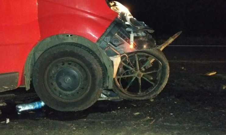 Столкновение повозки и микроавтобуса: в больнице умер 20-летний парень – пассажир гужевого транспорта