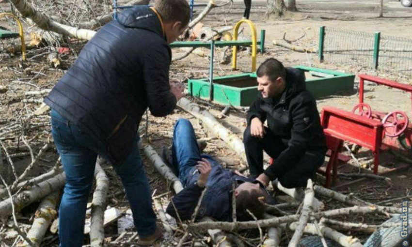 В Одессе на детской площадке рухнуло дерево: есть пострадавшие