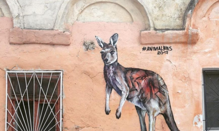 На улицах Одессы можно встретить кенгуру
