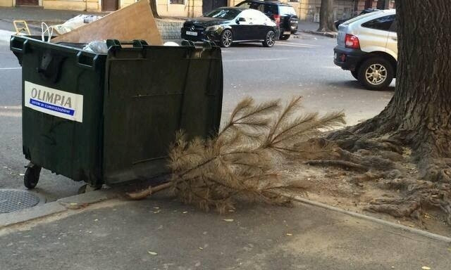 В Одессе продолжают выбрасывать новогодние елки