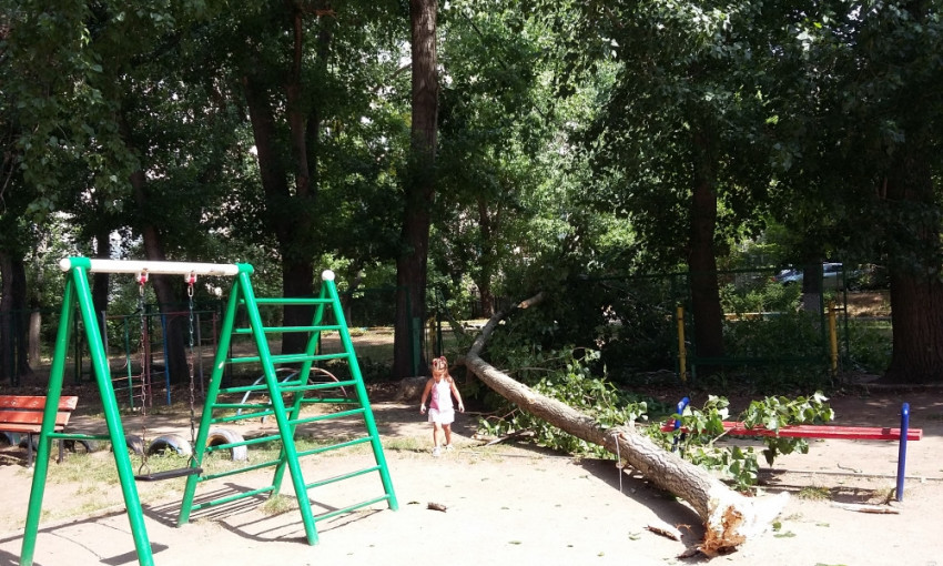 На одну из детских площадок Одессы рухнул тополь (ФОТО)