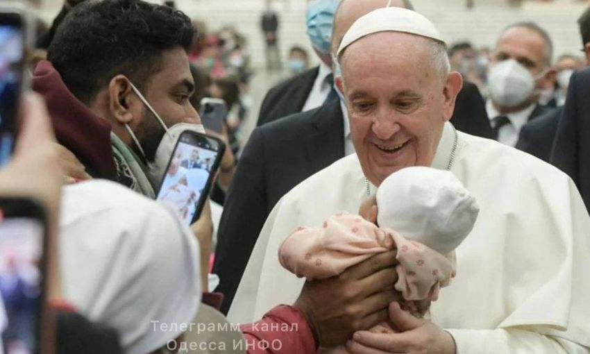 Папа Римский обеспокоен, что люди заводят не детей, а кошек и собак