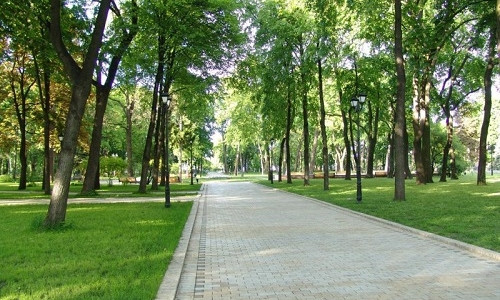 В Одессе впервые за много лет разобьют новый парк