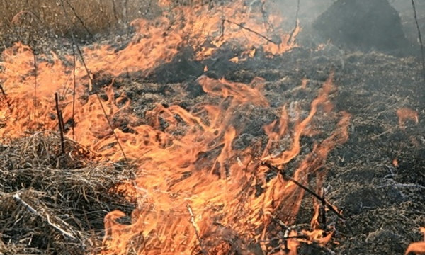 Подробности пожара в селе Чобручи