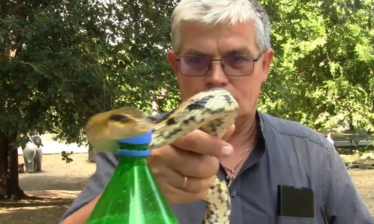 Директор Одесского зоопарка необычно поучаствовал в Bottle Cap Challenge (ВИДЕО)