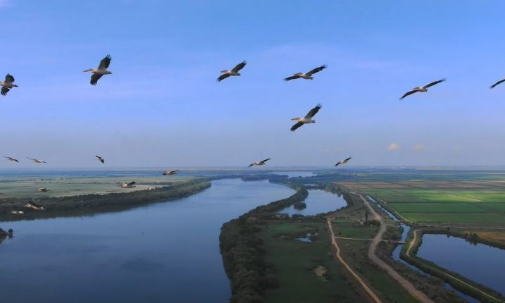 Сотрудники национального парка сняли "Тузловские лиманы" с высоты птичьего полета 