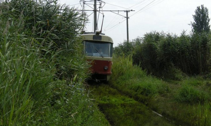 Камышовый трамвай Одессы