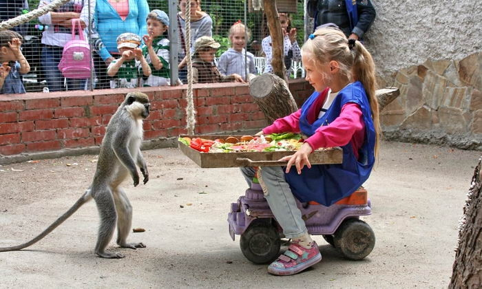 Одесские первоклассники смогут бесплатно посетить зоопарк