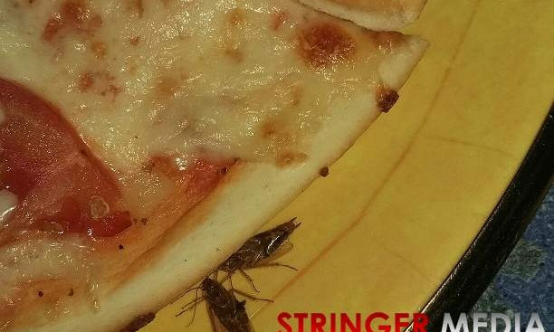 Фотофакт: в Игроленде в ТРЦ City Center в меню пицца с тараканами