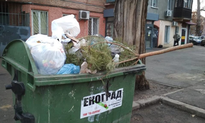 В Одессе продолжают выбрасывать новогодние ёлки (ФОТО)