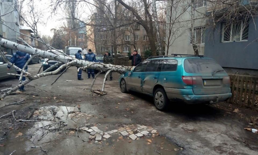Деревопад в Одессе: сильный ветер повалил 6 деревьев (ФОТО)