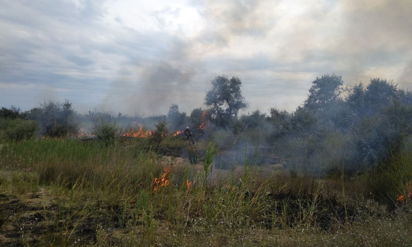 Тушили свалку - спасли лес и гостиницу: одесские пожарные справились