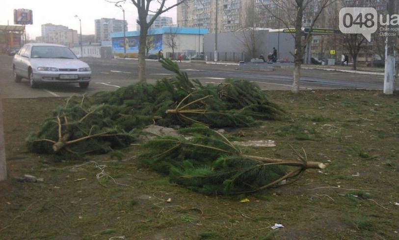 Бесплатные елки разбросаны по всей Одессе