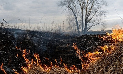 В Белгород-Днестровском борются с огненной стихией