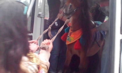 В Одесском троллейбусе прокатился пони
