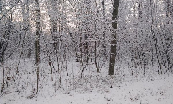 В Саврани выпал снег 