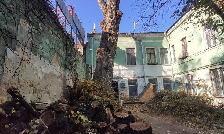 Страсти вокруг "пушкинского тополя" в Одессе не утихают – против коммунальщиков подали заявление в полицию 