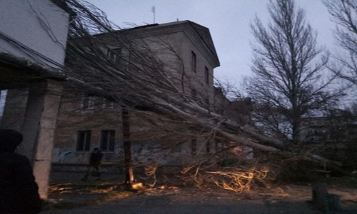 В Одессе на жилой дом упало дерево