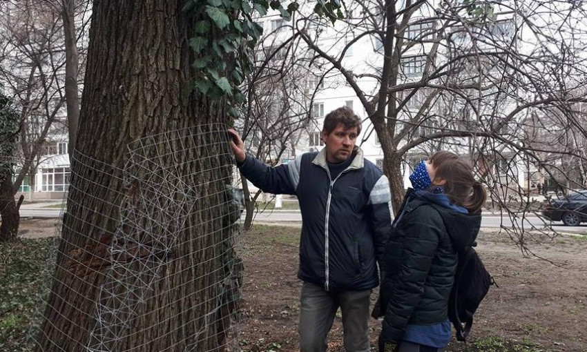Одесситы нашли креативный способ защиты деревьев от спиливания