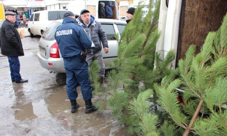 В одесской области правоохранители проверяют законность реализации пиротехники и елок