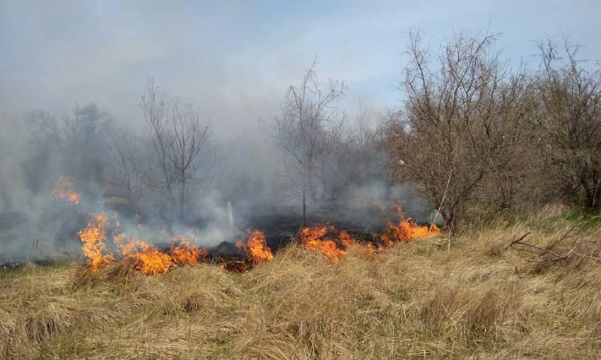 Спасатели второй день тушат пожар в национальном парке 