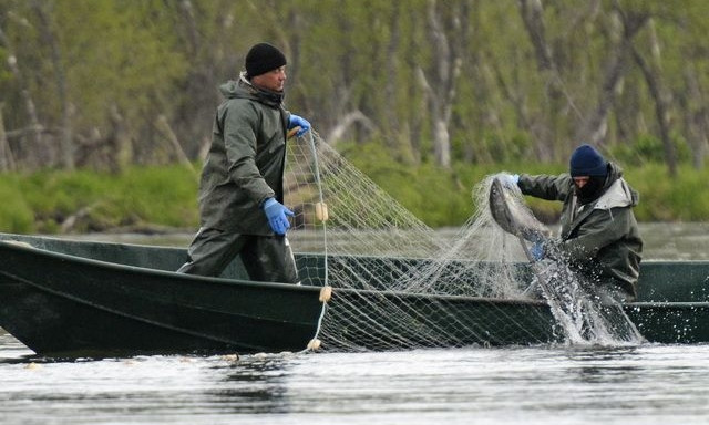 Браконьер на озере Сасык успел наловить рыбы на 9 тыс грн