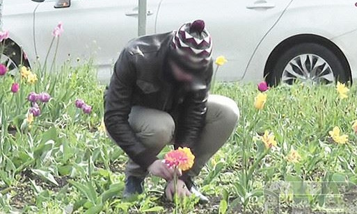 Подростки в Измаиле воровали цветы с клумб и продавали их