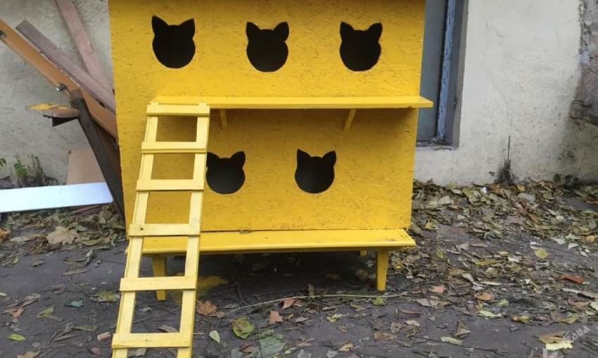 В Одессе появилась ещё одна кошачья многоэтажка (ФОТО)