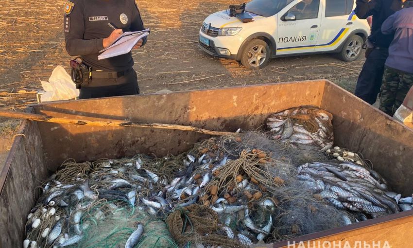 Под Одессой два «рыбака» наловили кефали на почти два миллиона гривен
