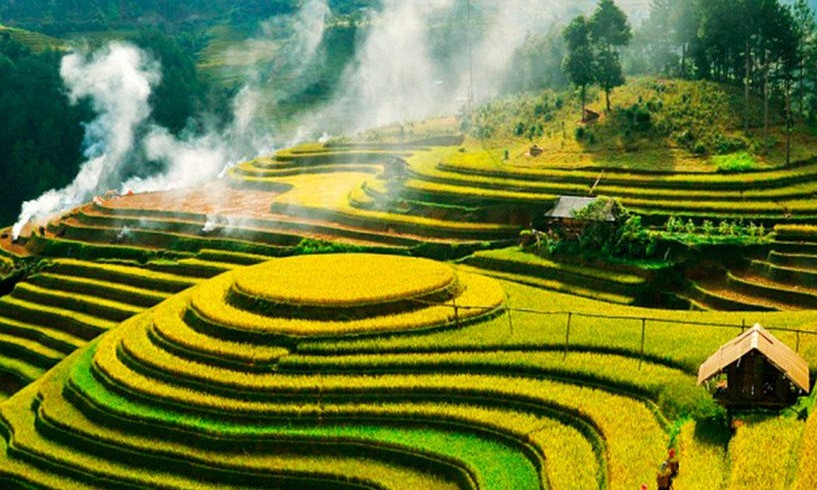Вьетнам заинтересовался сельским хозяйством Одесщины