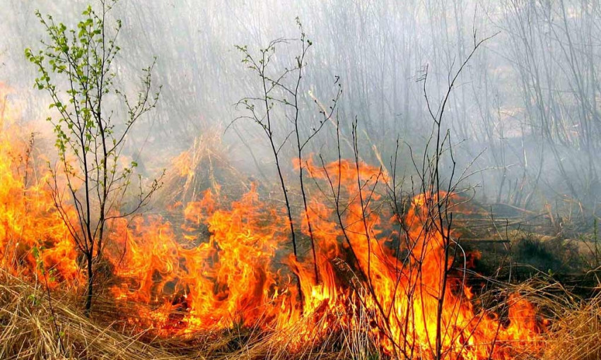 Одесские спасатели четырежды за сутки тушили возгорание сухой травы