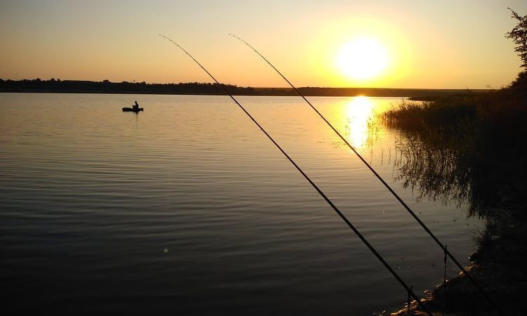 В Одесской области на части водоемов сняли запрет на рыбалку 