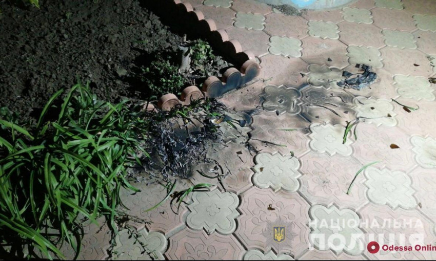 Во двор одного из кандидатов бросили "коктейль Молотова" 