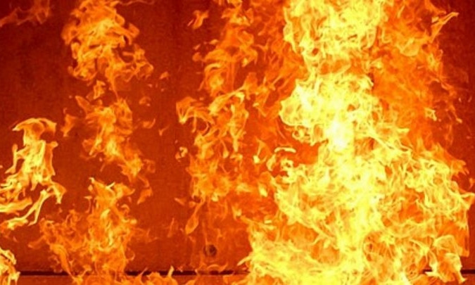 В Одесской области сгорело предприятие по переработке чеснока 