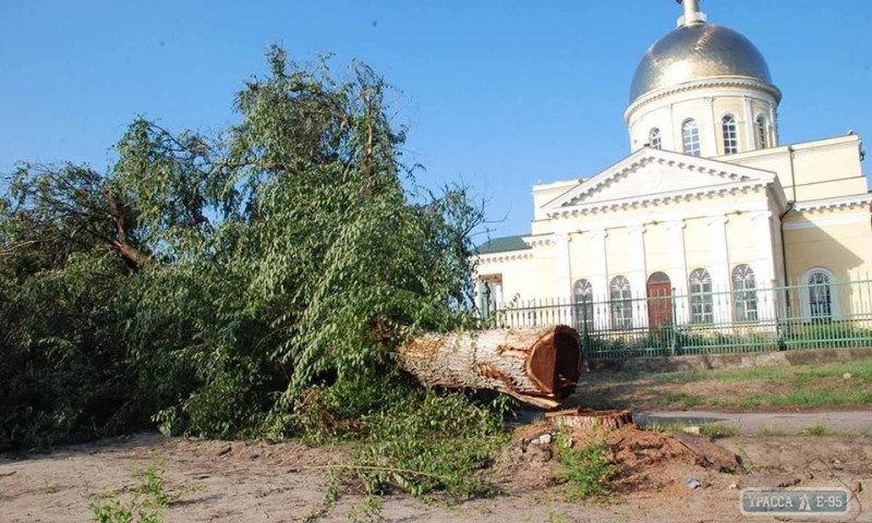 Болград: 3 миллиона гривен и спил 18 деревьев
