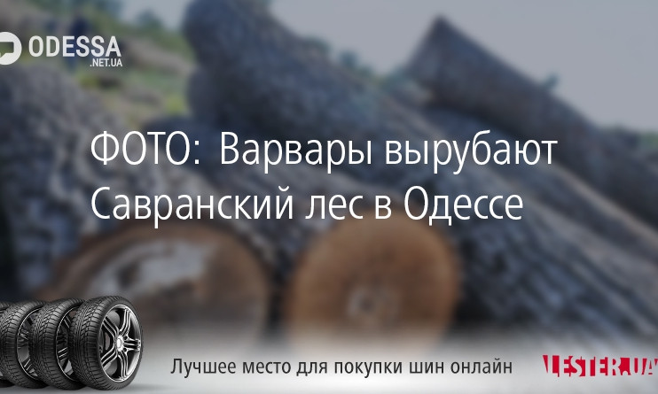 ФОТО: Варвары вырубают Савранский лес в Одессе