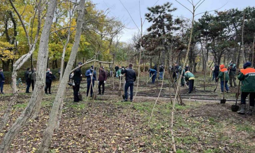 Одесские волонтеры высадили полсотни саженцев белой акации