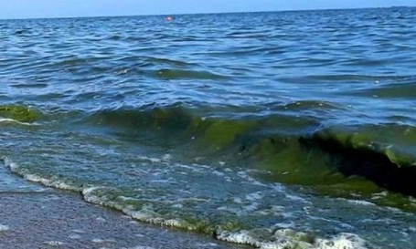 На трёх пляжах Одессы вода не соответствует требованиям