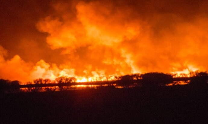 В Одесской области объявили чрезвычайную пожарную опасность 