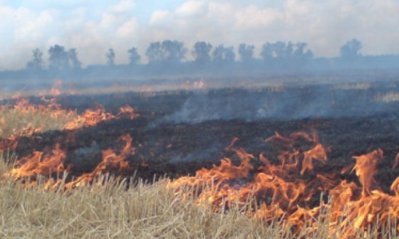 В Одесской области объявлена пожарная опасность 5 класса