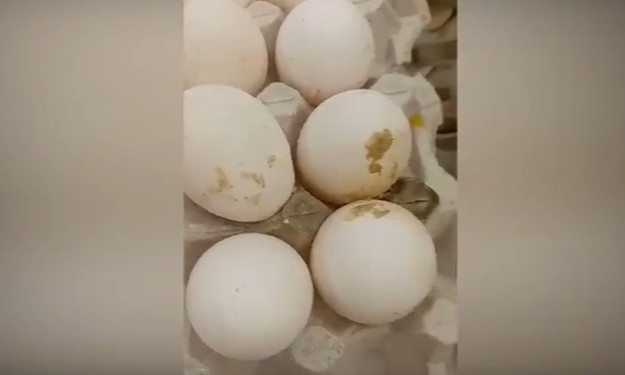 В одном из супермаркетов продают куриные яйца с червями