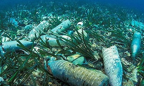 Украинский научный центр экологии моря будет исследовать мусор на дне моря 