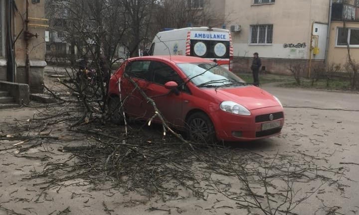 В Одессе на девушку упало дерево (ФОТО)