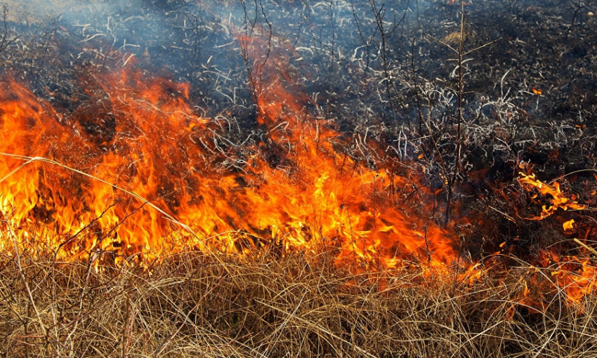 В Одесской области сохраняется чрезвычайный уровень пожарной опасности