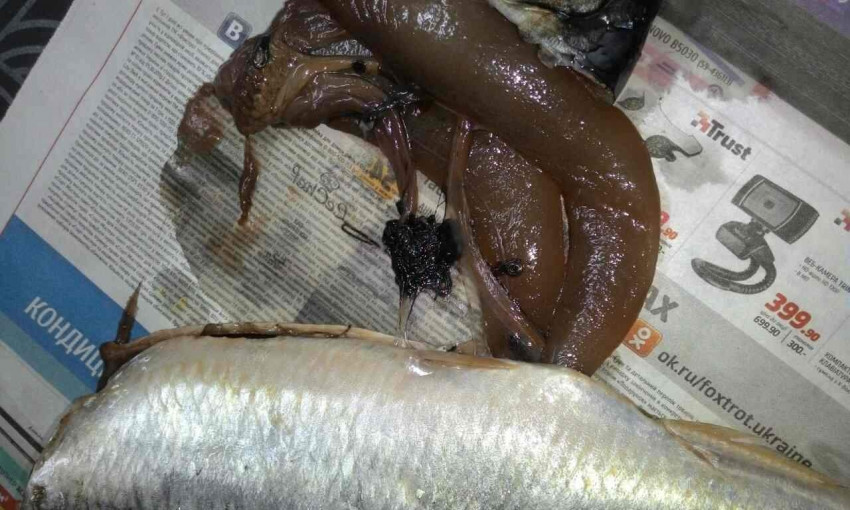 Одесский супермаркет реализует просроченную сельдь с червями