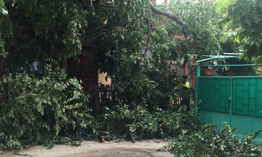 На частный дом на Молдаванке обрушилась огромная ветка