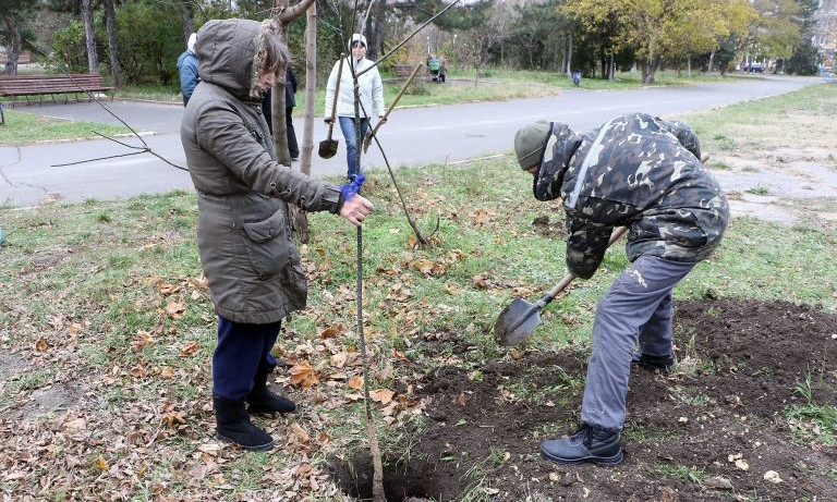 Одесситы пытаются отстоять парк и высаживают деревья
