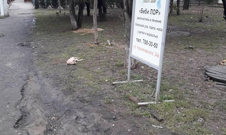 Парк Победы: труп собаки оказался трупом ягнёнка